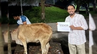 রাবিতে আম্মারের নেতৃত্বে ‘বাকশাল’ নামে গরু জবাই